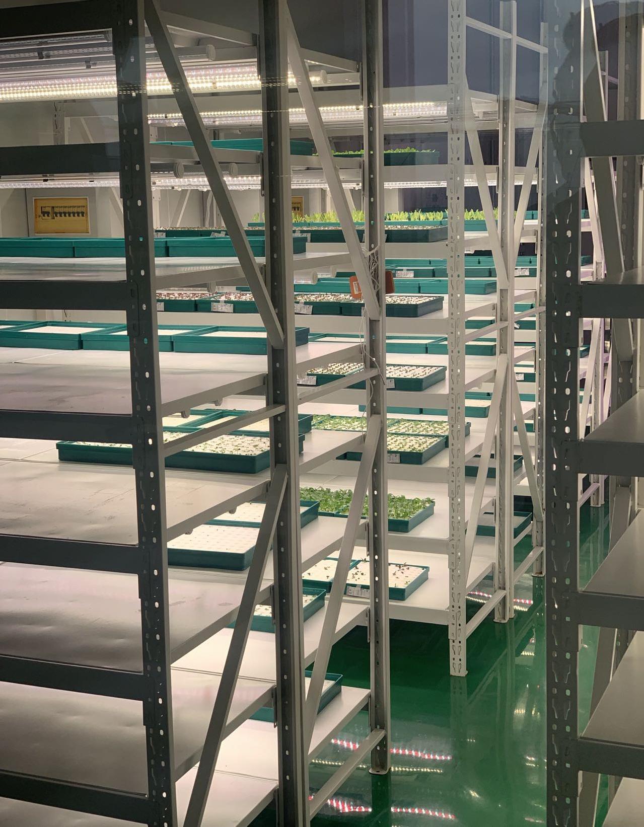 植物工廠育苗室內景