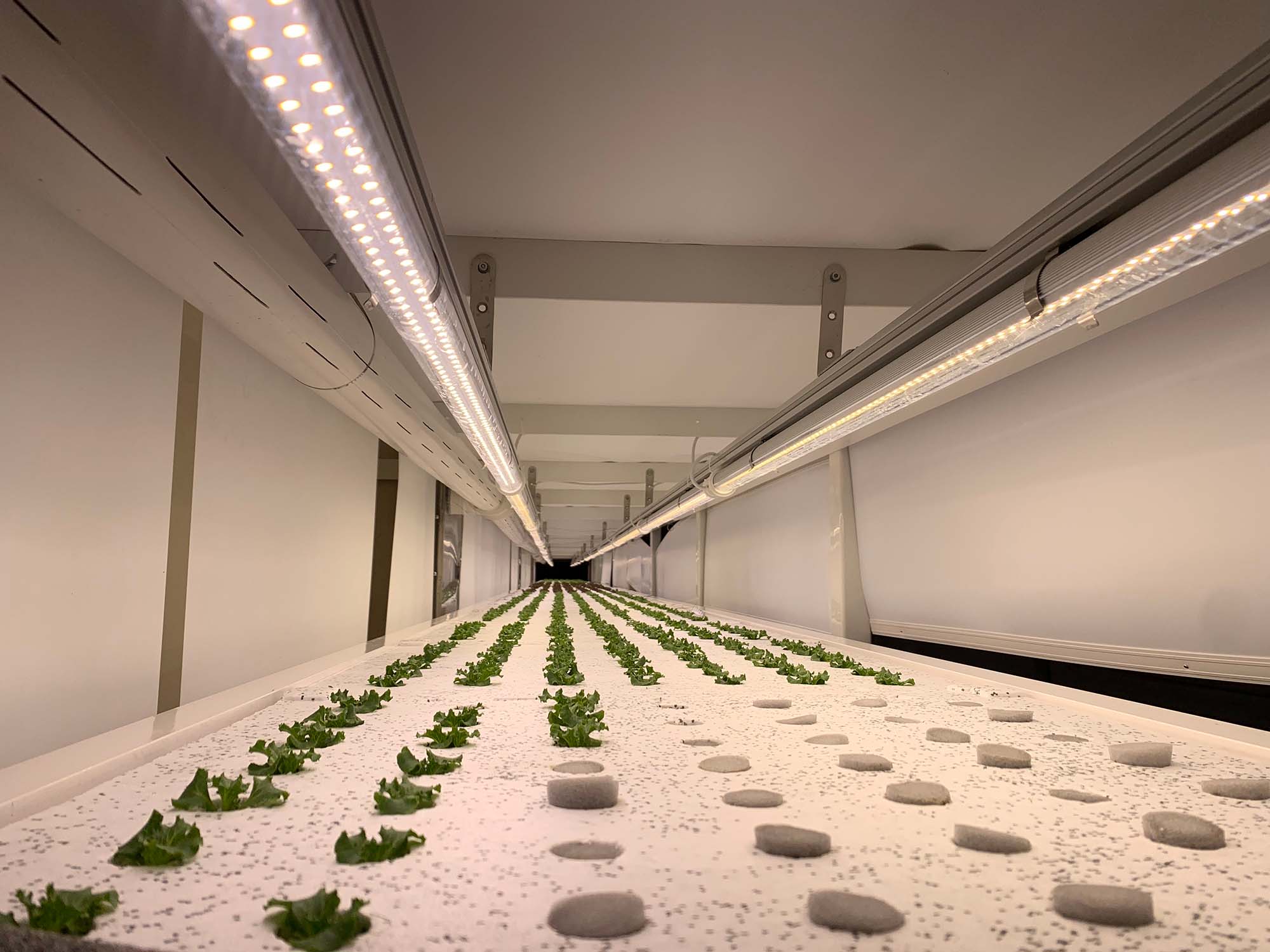 植物工廠層間通風裝置